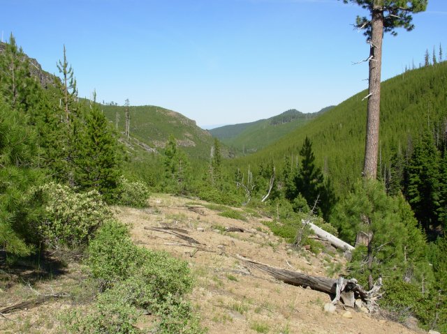 Summer '06 Sunriver 333 